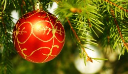 Nadzwyczajne Walne Zebranie Delegat&oacute;w